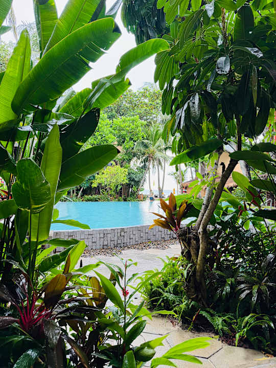 Gartenanlage Buri Rasa Village Phangan