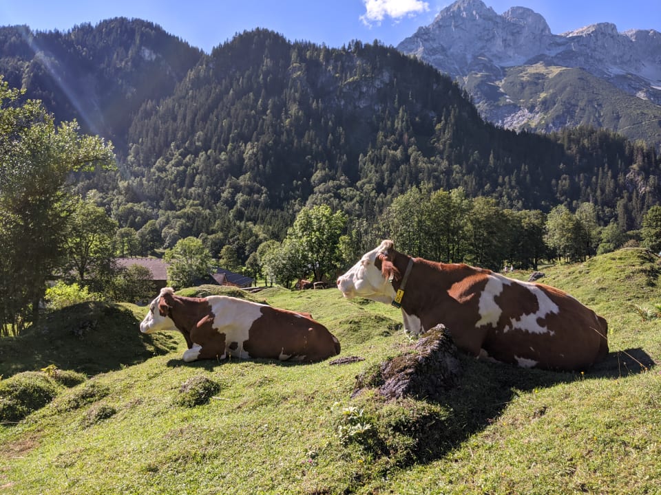 Sonstiges Bauernhof Vorderoberlehen