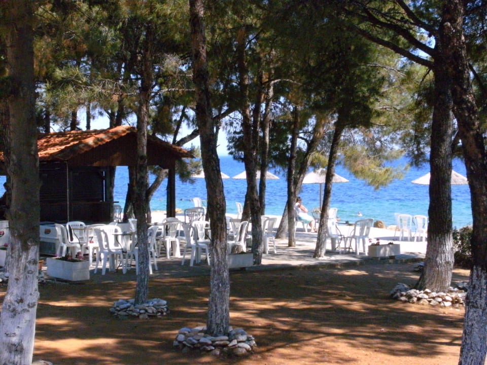 Strand-Bar gemütlich und super Aussicht Blue Dolphin Resort Hotel