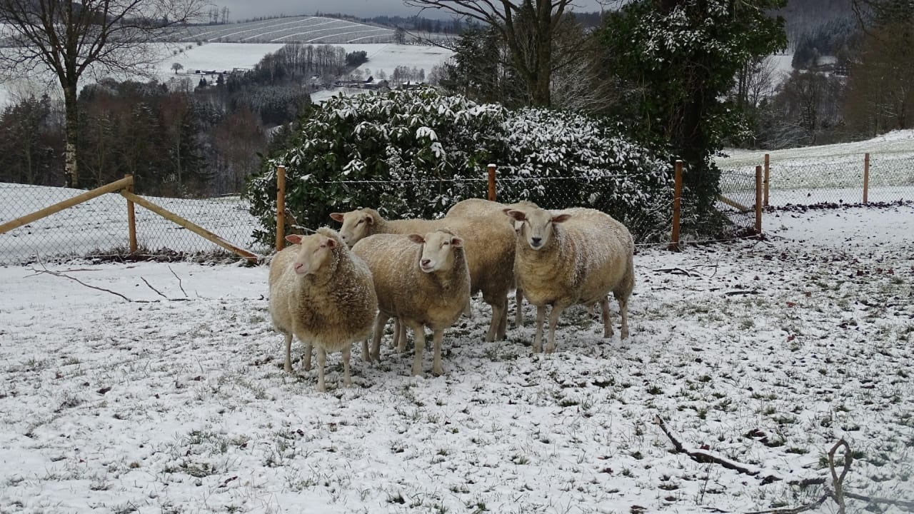 Gartenanlage Berghotel Hoher Knochen