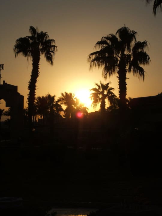 Sonnenuntergang Beach Albatros Resort