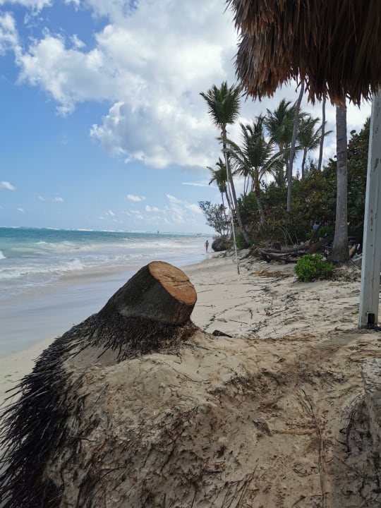 Strand Grand Palladium Punta Cana Resort & Spa