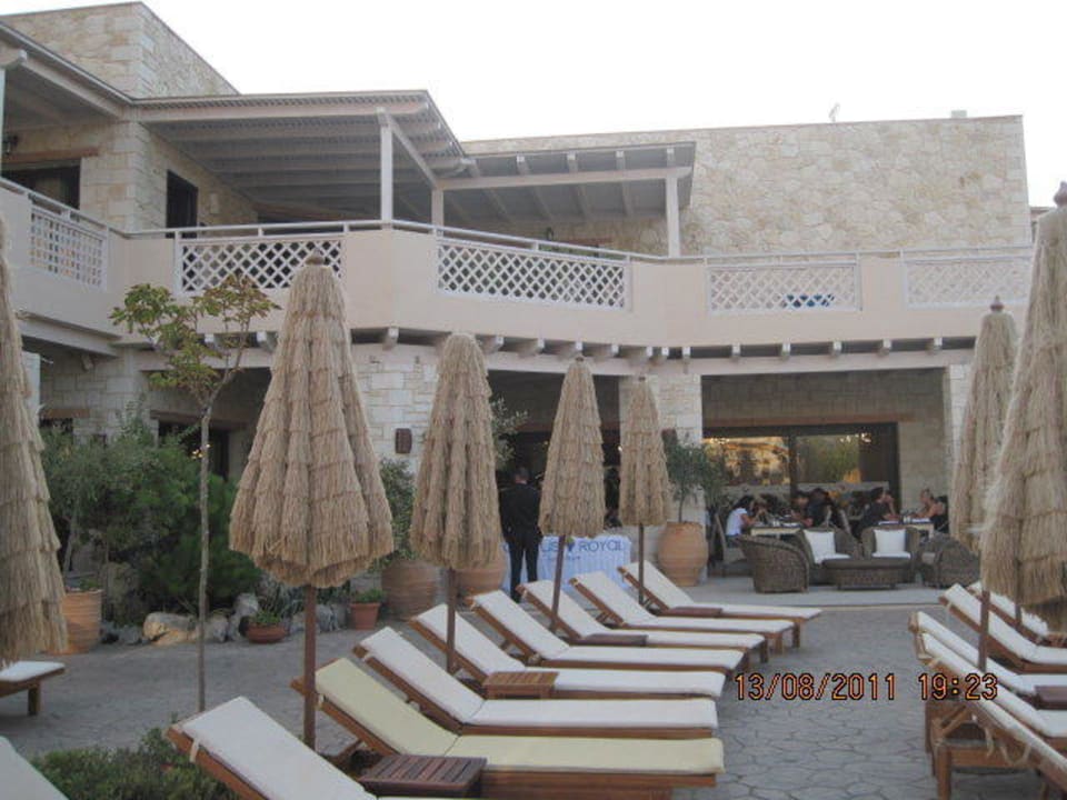 Leżaki Cactus Royal