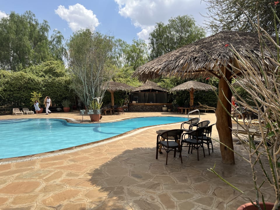 Pool Kibo Safari Camp
