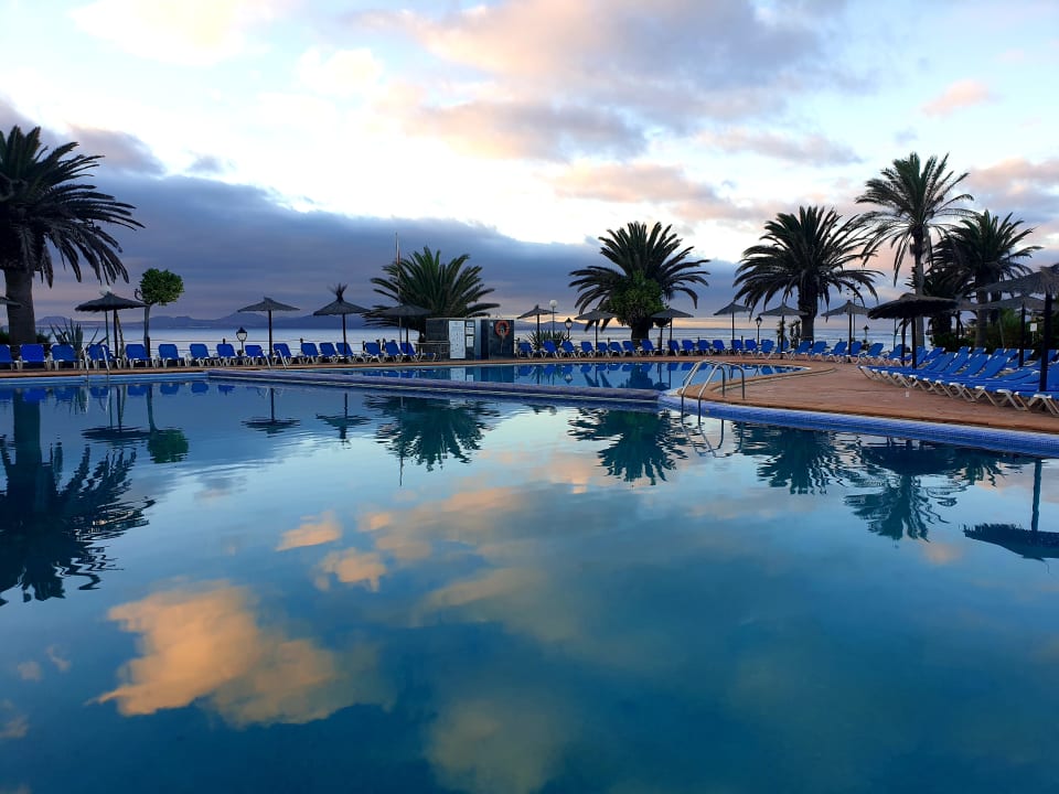 Pool SBH Hotel Royal Monica