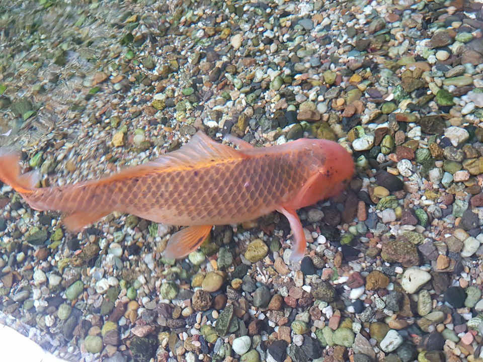 Sonstiges Tropical Islands Resort