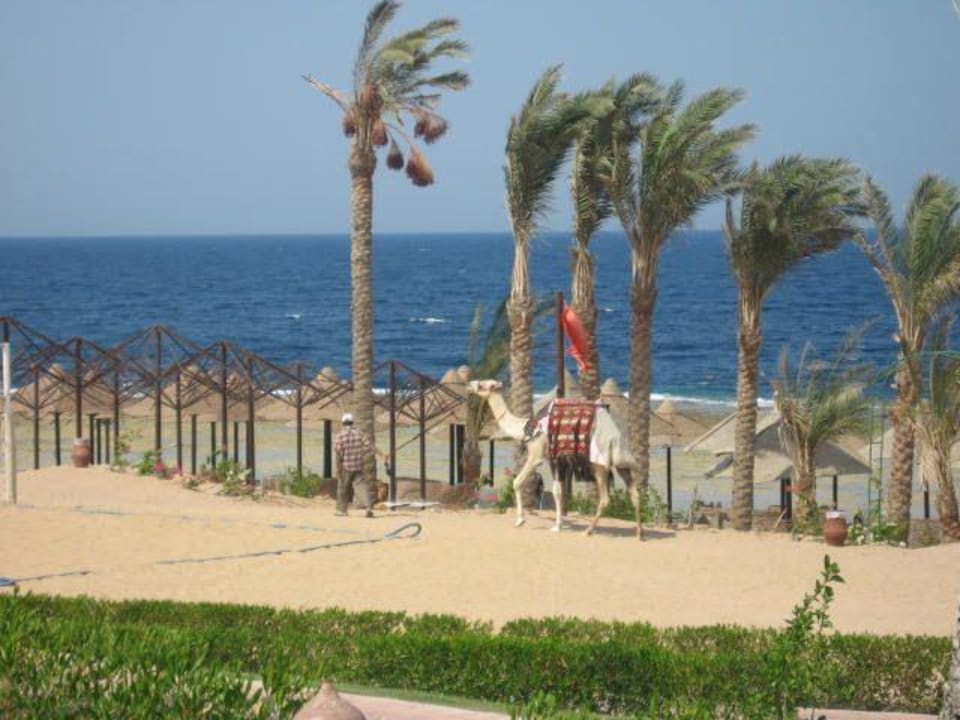 Plaża Serenity Alpha Beach