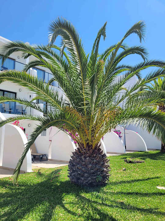 Gartenanlage Grand Palladium White Island Resort & Spa