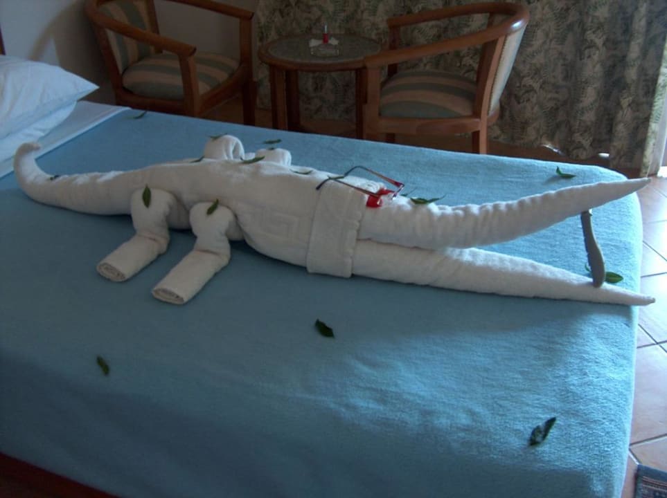 Krokodil vom Nil Utopia Beach Club