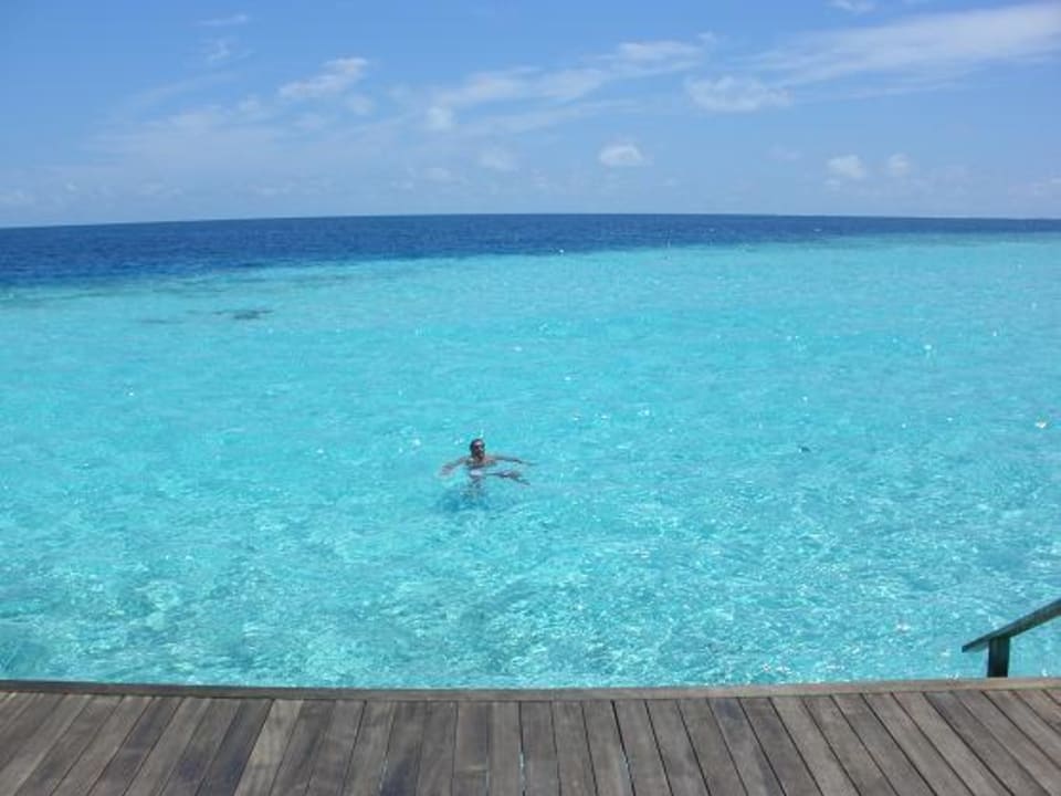 Genau vor unserer Terrasse (Bungi 166) Veligandu Maldives Resort Island