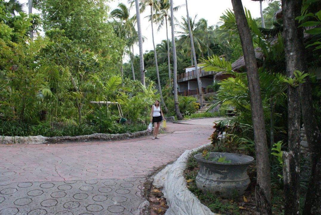 Hotelgartenanlage Panviman Resort Koh Phangan