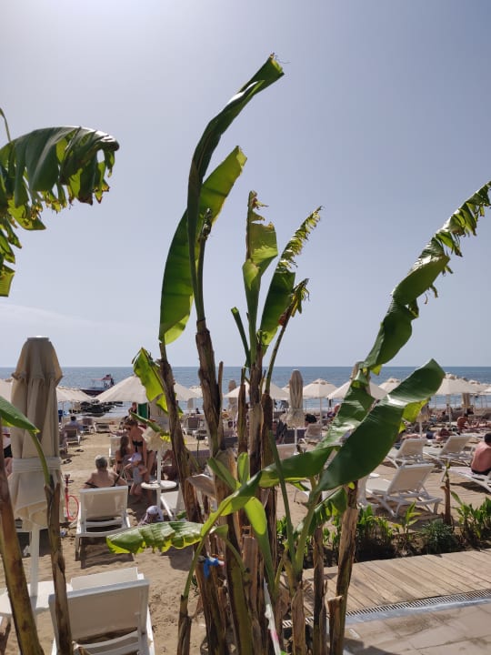 Gartenanlage Seaden Quality Resort & Spa