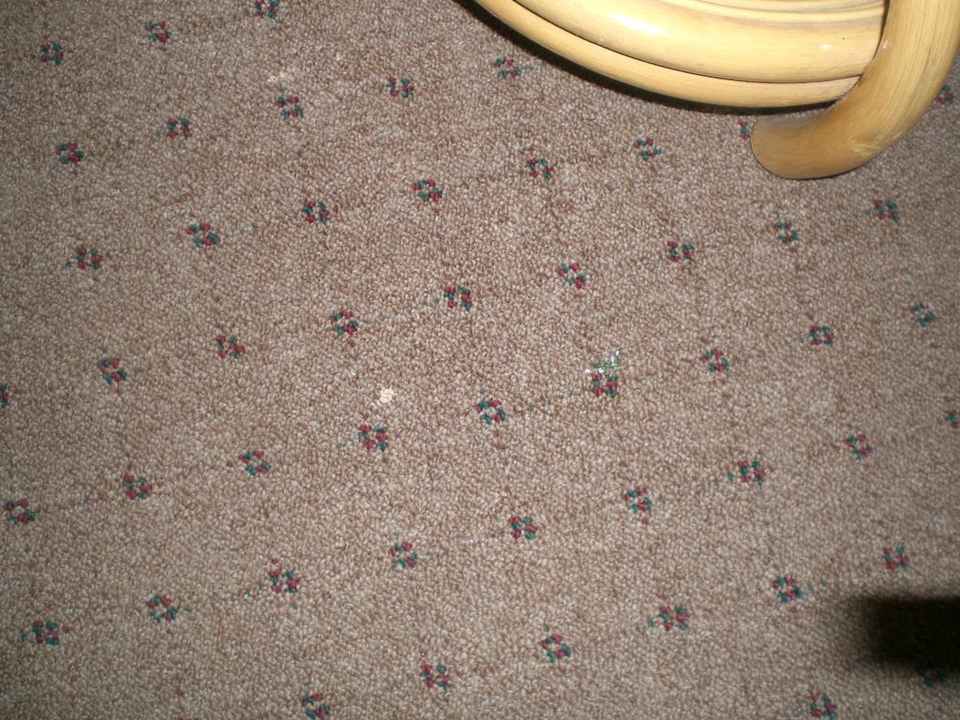 Staubsauger gerade zur Wartung? Hotel Huong Giang