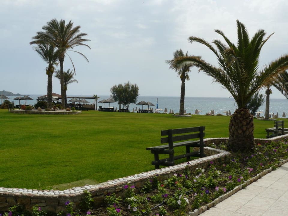 Ogród, droga do plaży Rodos Palladium Leisure & Wellness