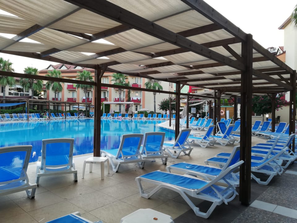 Pool Hotel Orfeus Park