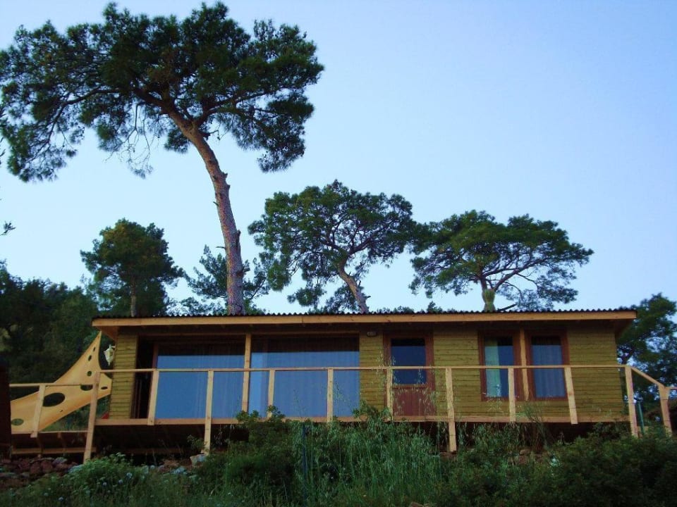 High-one Suite Shambala Hotel