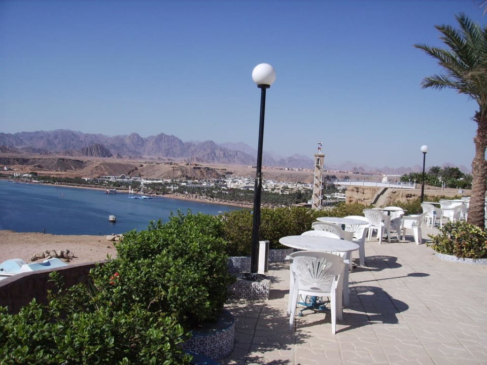 Unser Stammplatz Albatros Sharm Resort