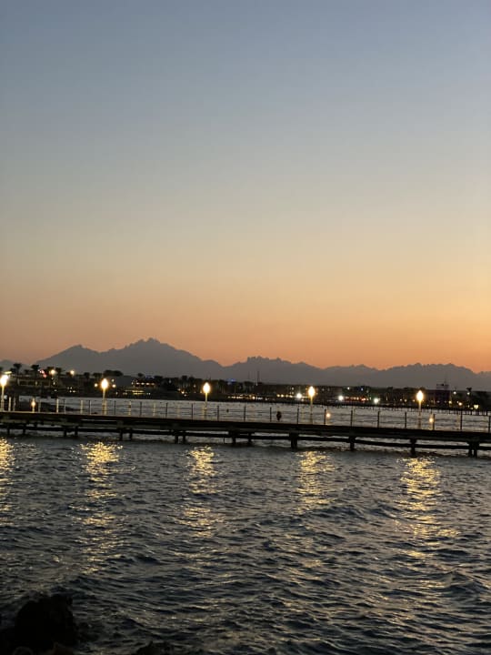 Ausblick Desert Rose