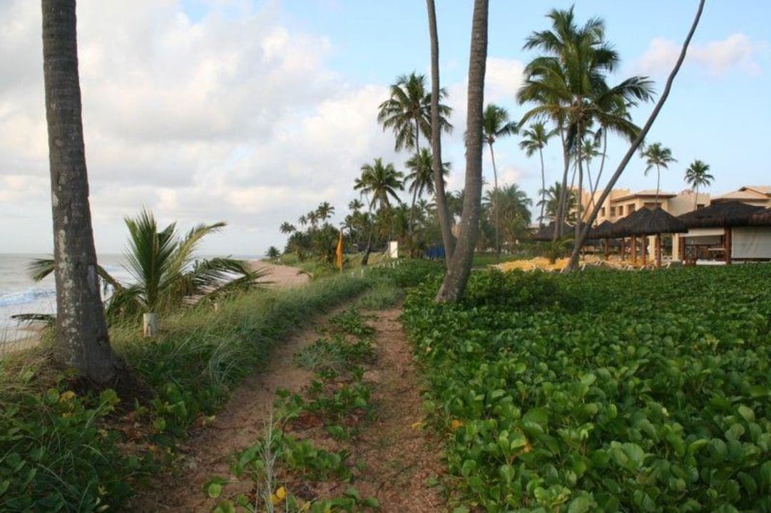 Garten Iberostar Waves Bahia