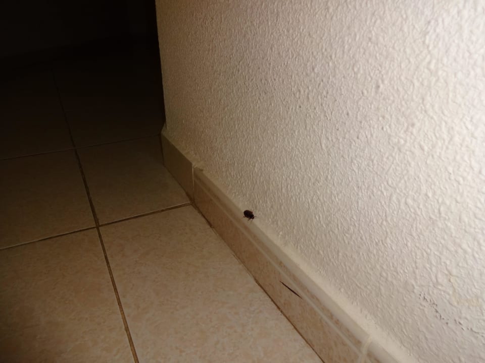 Dramat SBH Hotel Taro Beach