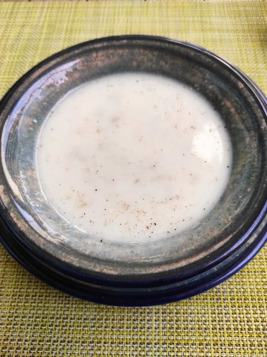 Gastro Acanthus Cennet Barut Collection