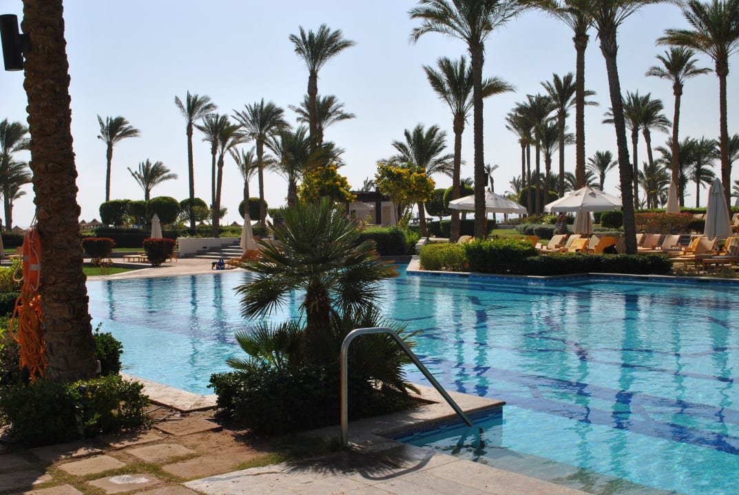 Süßwasserpool Pickalbatros Palace Hotel-Port Ghalib