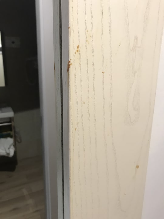 Zimmer HL Suitehotel Playa del Ingles