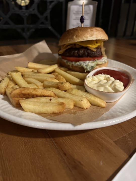 Gastro Papillon Ayscha