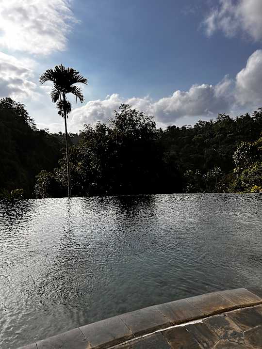 Pool Hotel The Royal Pita Maha