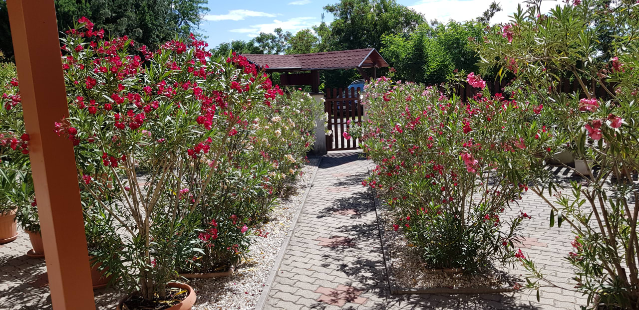 Außenansicht Pension Marika