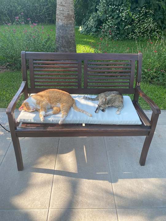 Gartenanlage Hotel Portes Beach