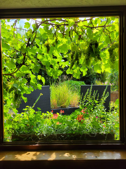 Gartenanlage Silberkönig Schwarzwald Hotel & Restaurant Ringhotel