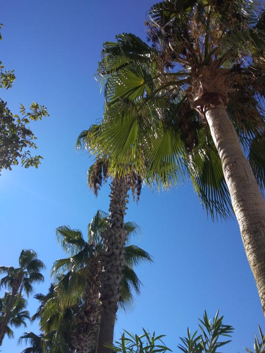 Strand Side Star Beach