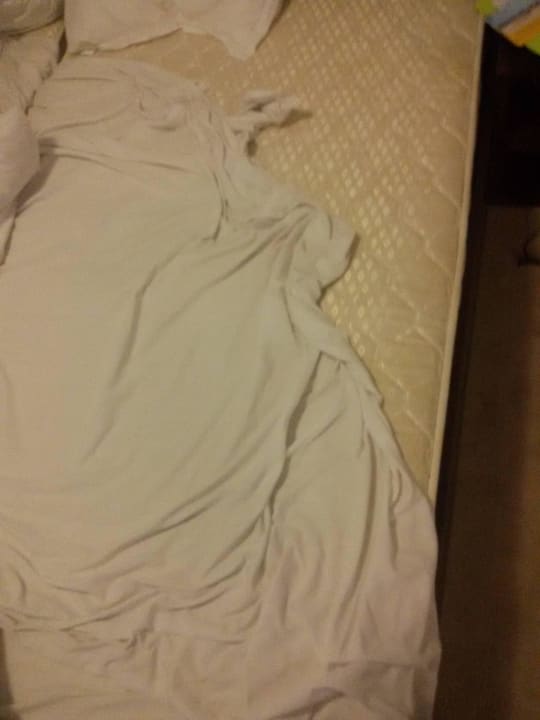 Ohne Worte Sun Palace