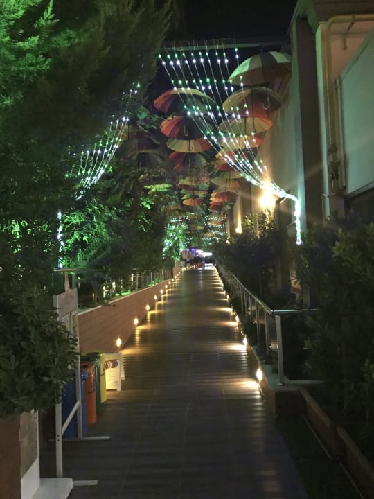 Gartenanlage Hane Family Resort