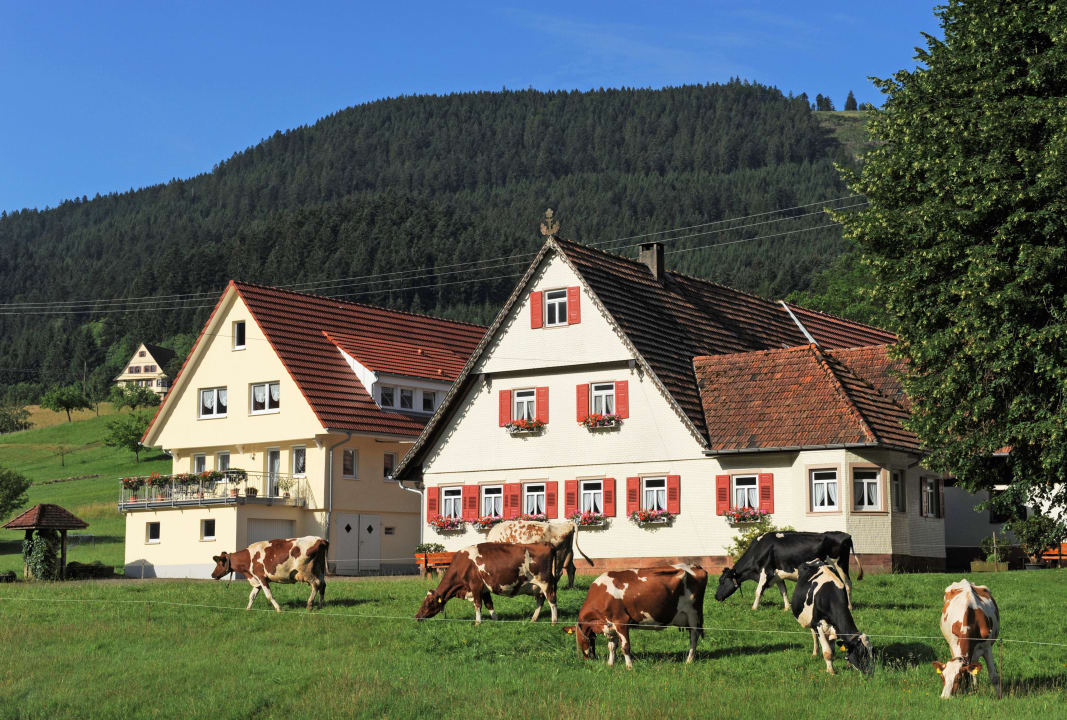 Hofbild  Ferienwohnung Brujosenhof