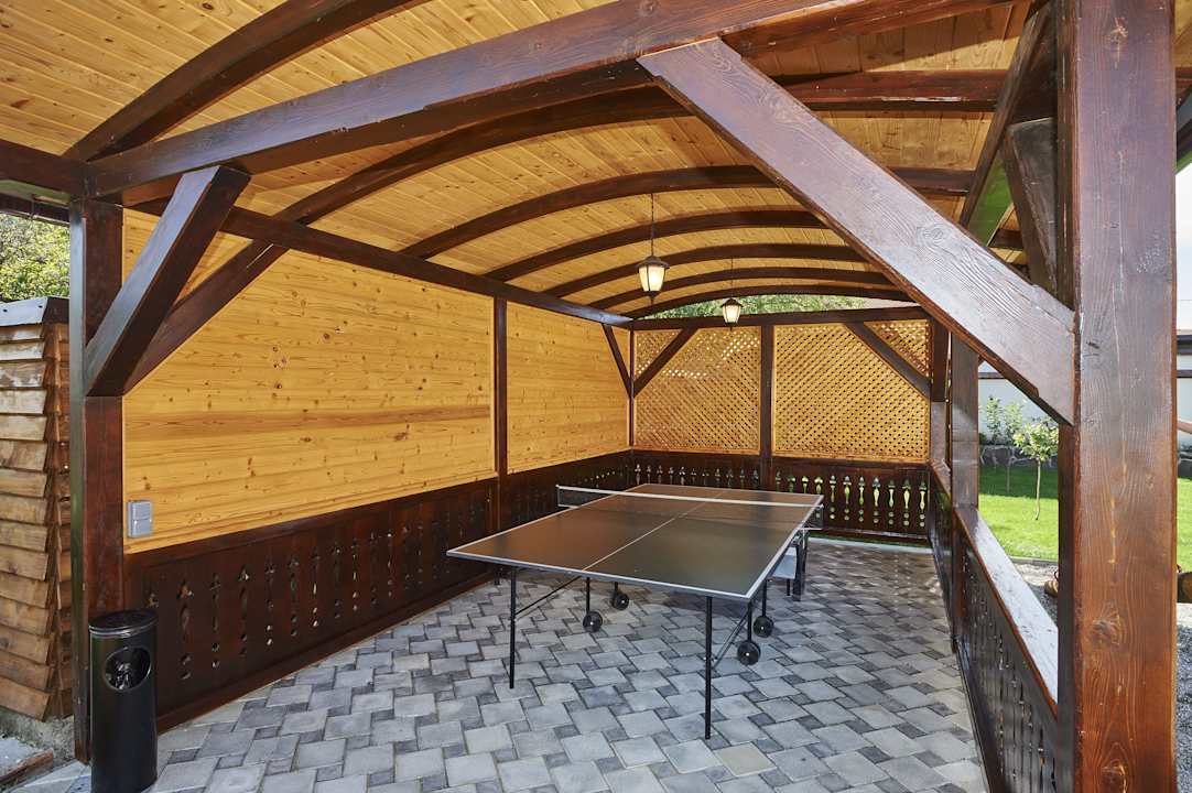 Table Tennis Conacul Ambient