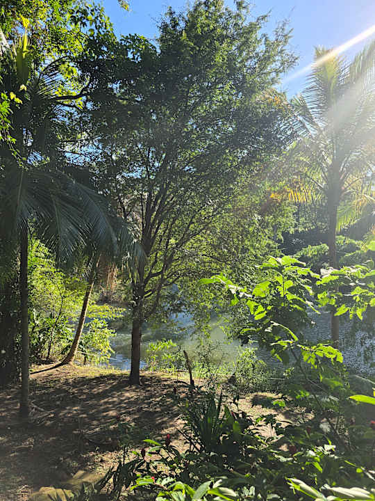 Ausblick Finca Cañas Castilla