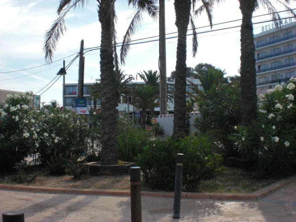 Nochmal Blick vom Strand auf das Hotel Hotel Osiris