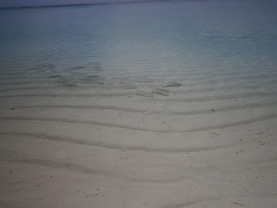 Strand Meeru Maldives Resort Island