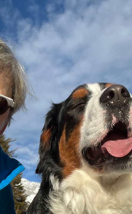 Sonstiges Hotel Strasserwirt Reiterhof