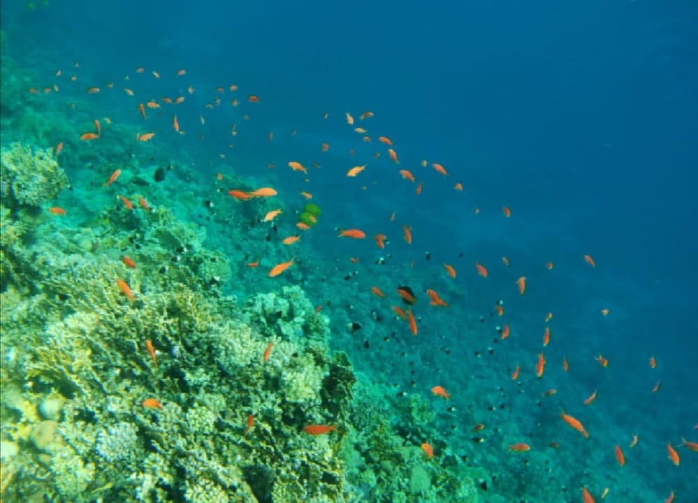 Strand Bliss Nada Beach Resort