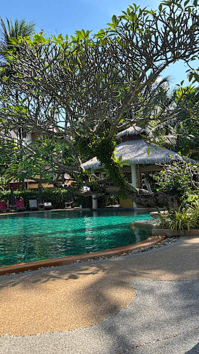 Pool Kata Palm Resort & Spa