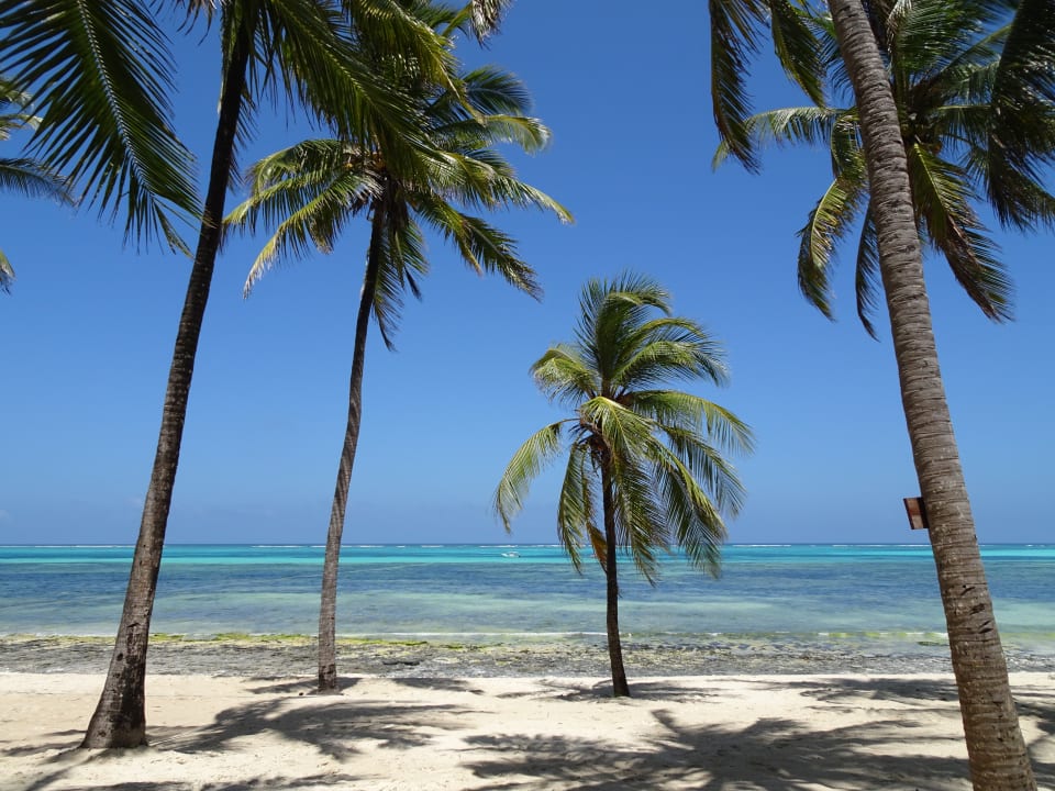 Strand Karafuu Beach Resort & Spa