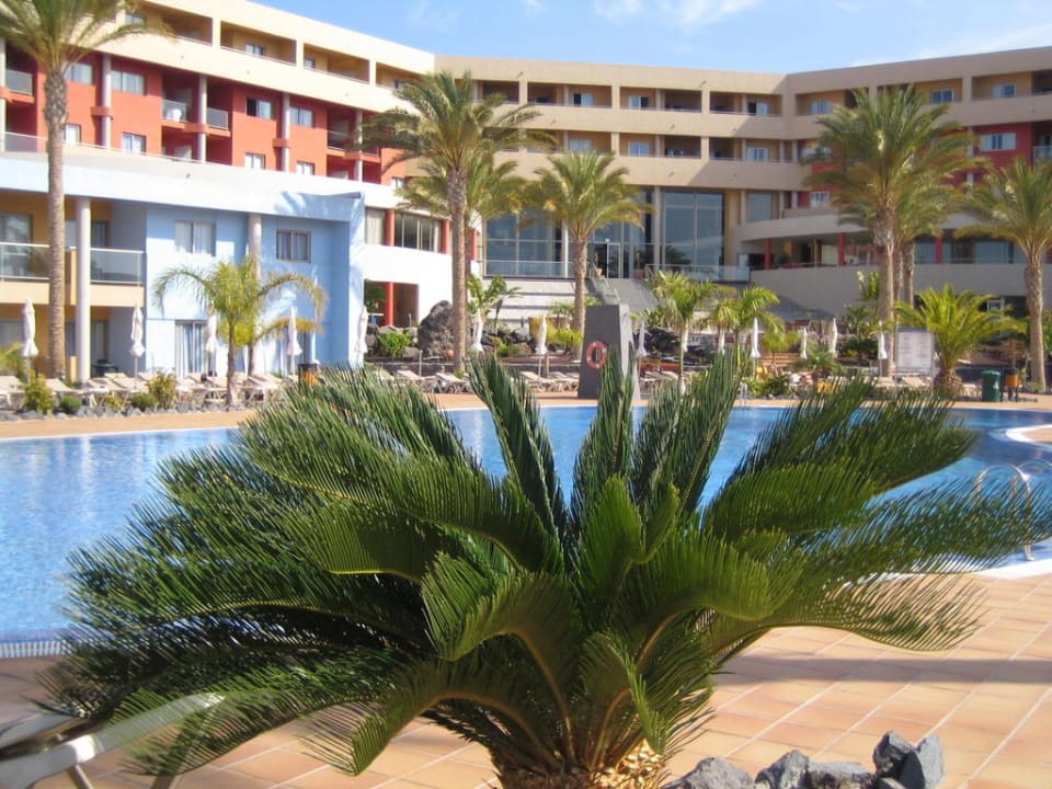 Rückseite des Hotels mit Pool Iberostar Waves Gaviotas Park