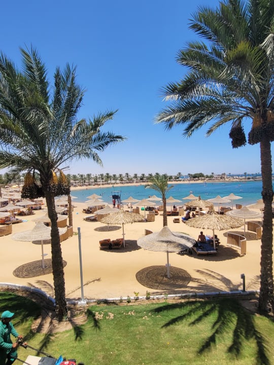 Ausblick Desert Rose