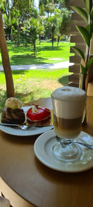 Gastro Papillon Ayscha