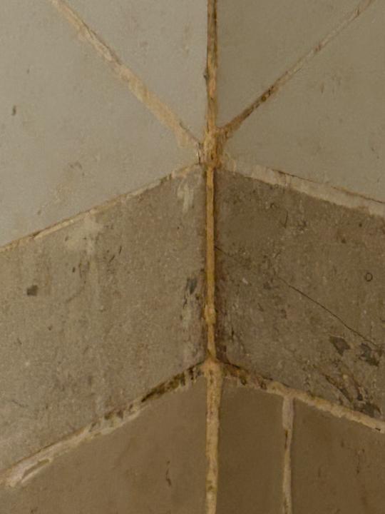 Zimmer Bliss Nada Beach Resort