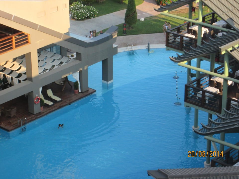 Verschiedene Pools Limak Lara Deluxe Hotel & Resort