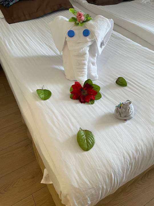 Zimmer Side Star Beach